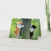 Merci D'Être Là. (Devant)