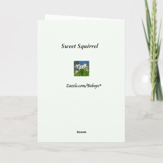 Merci doux d'écureuil (Dos)