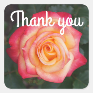 Merci Dream Come True Rose #1 Stickers