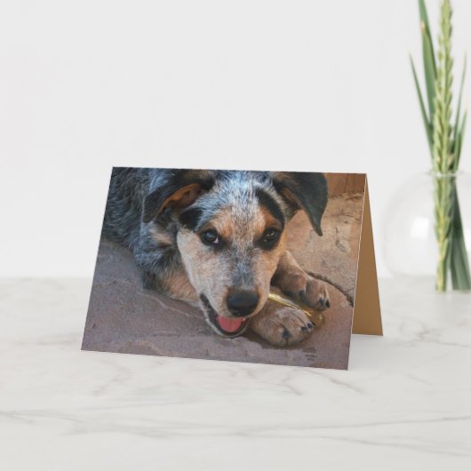 Merci du coeur - Amoureux des chiens (Devant)