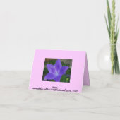 Merci du jardin avec vierge à l'intérieur (Dos)