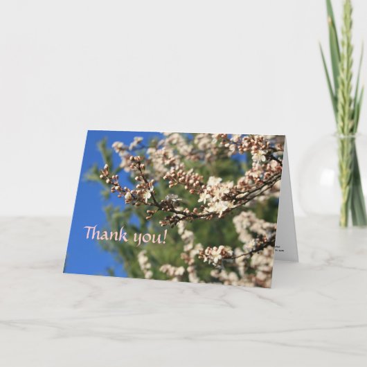 Merci du printemps (Devant)