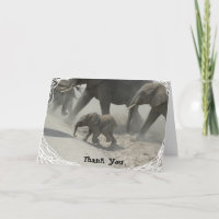 Merci - éléphant africain