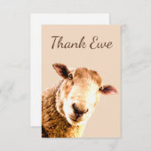 Merci Ewe Mouton Humour animal (Devant / Derrière)