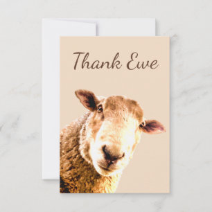 Merci Ewe Mouton Humour animal