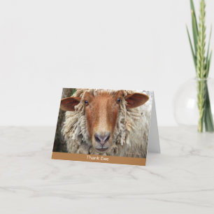 Merci Ewe : Une carte lunatique