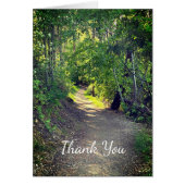 Merci Forest Trail Wilderness Paysage paisible (Devant)