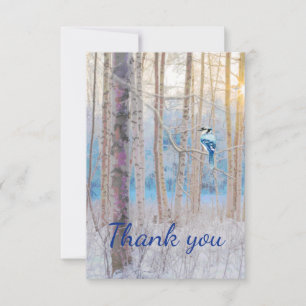 Merci Forêt Bleu Jay Oiseau Nature Faune Art