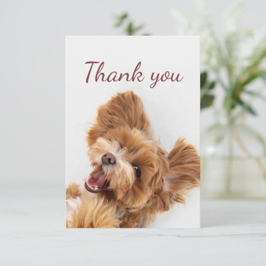 Merci Fun Floofy Happy Chien chiot (Debout devant)