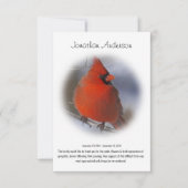 Merci funéraire cardinal rouge élégant (Devant)