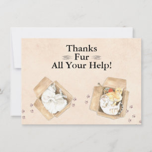 Merci Fur Toute Votre Aide ! Chats en boîtes, Merc