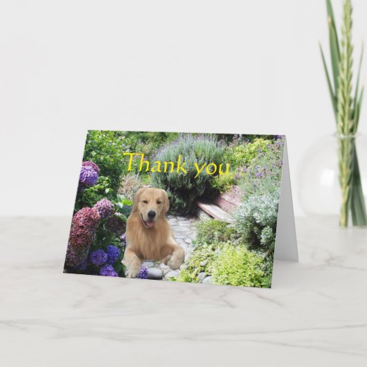 Merci Golden Retriever Dans La Carte Jardin (Devant)