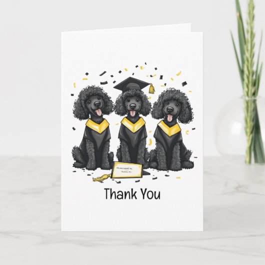 Merci Graduation Standard Poodle Dogs (Devant)
