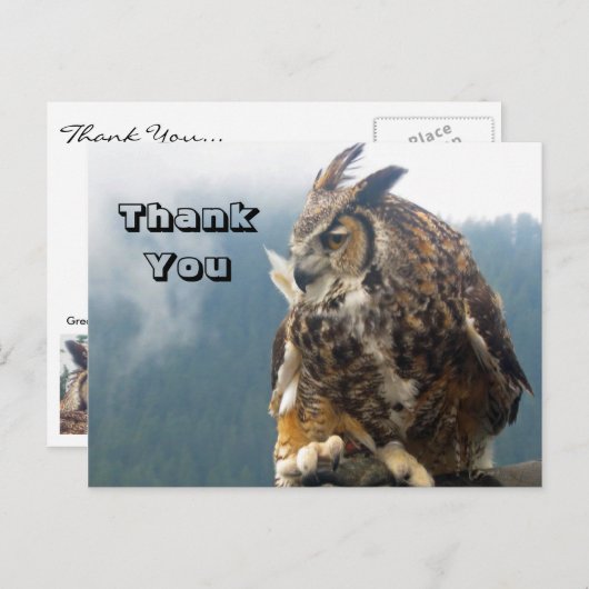 Merci Grande chouette à cornes Carte postale (Devant / Derrière)