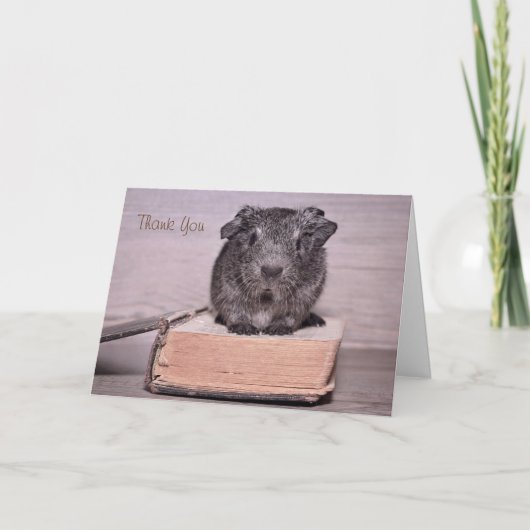 Merci Guinée Cochon assis sur un livre (Devant)