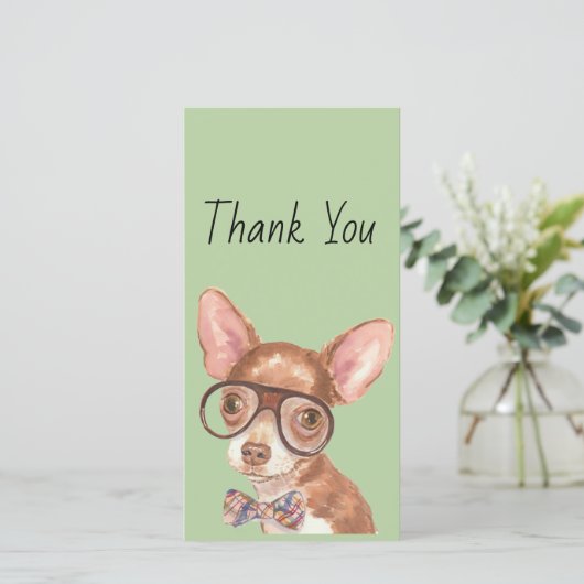 Merci Hipster Chihuahua (Debout devant)