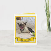 Merci humoristique tellement de Siamese Kitten Pho (Devant)