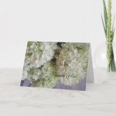 Merci Hydrangea (Devant)