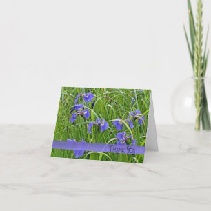 Merci Iris violet
