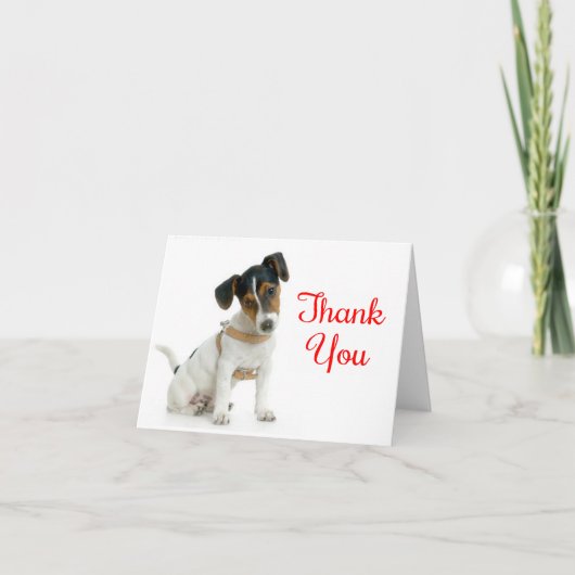 Merci Jack Russell Terrier Puppy Chien Note Card (Devant)