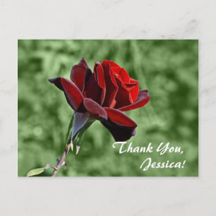 Merci, Jessica ! Carte postale