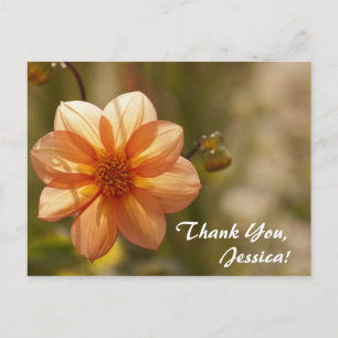 Merci, Jessica ! Carte postale