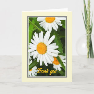 Merci Joli blanc de marguerites Carte personnalisé