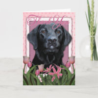 Merci - Labrador - Noir - Gaz