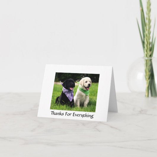 Merci Labrador Retriever Puppies Grey Card (Devant)