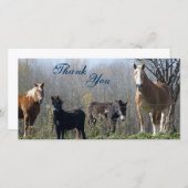 Merci les chevaux, le poney, et l'âne Photocards (Devant / Derrière)