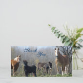Merci les chevaux, le poney, et l'âne Photocards (Debout devant)