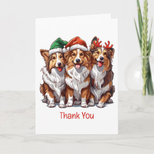 Merci les Shetland Sheepdogs de Noël