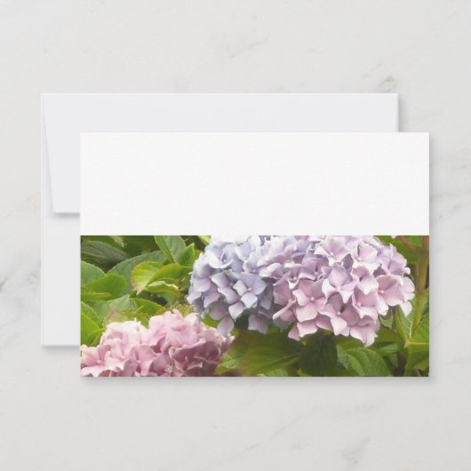 Merci Mariage Hydrangea (Dos)
