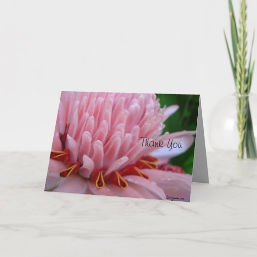 Merci M'Éloigne Du Gingembre Rose (Devant)