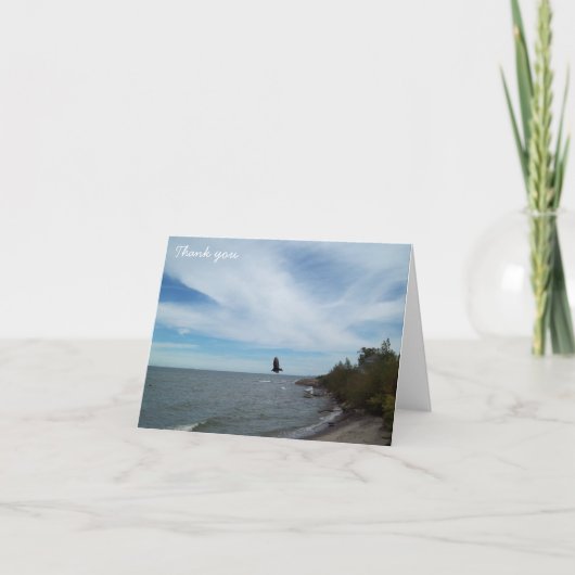 Merci - Michigan (Devant)