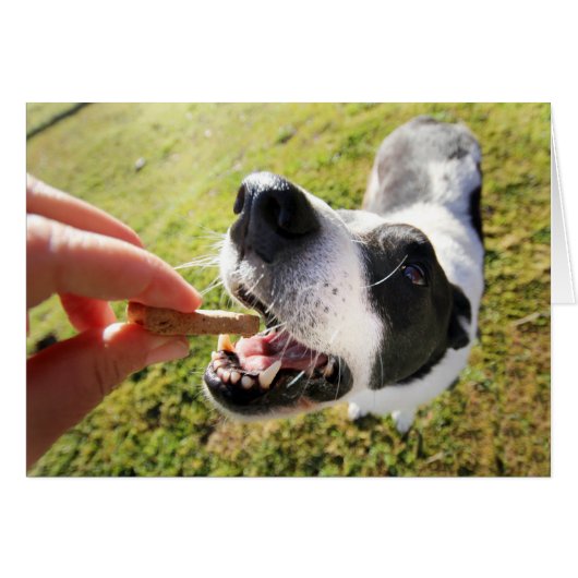 Merci Migné Pour La Carte De Séjour Pour Animaux (Devant horizontal)