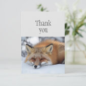 Merci mignon dormant Renard rouge animal (Debout devant)