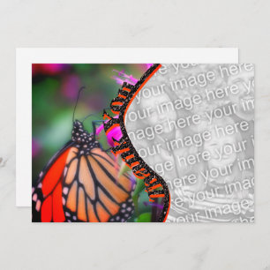 Merci Monarch Butterfly Carte photo
