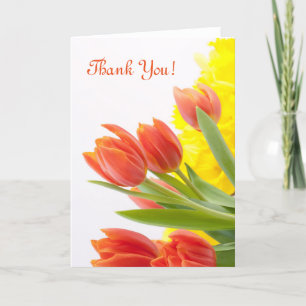 Merci orange de nature de pétales de fleur de