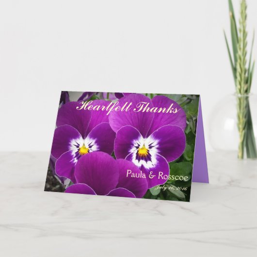 Merci Pansy (Devant)