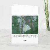 Merci papillon (Dos)