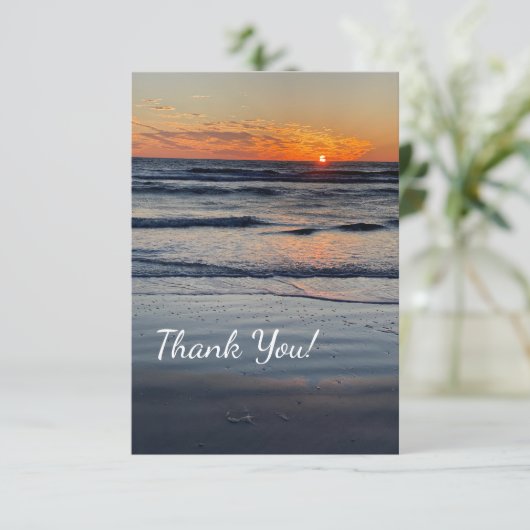 Merci photo Sunset (Debout devant)