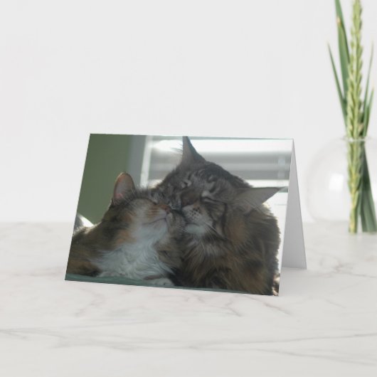 Merci pour être ami (Devant)