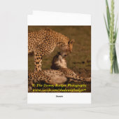 Merci pour être là cardent (Dos)