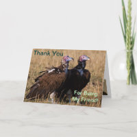 Merci pour être mon ami, carte de vautour