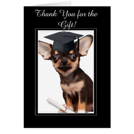 Merci pour la carte cadeau de diplôme Chihuahua (Devant)