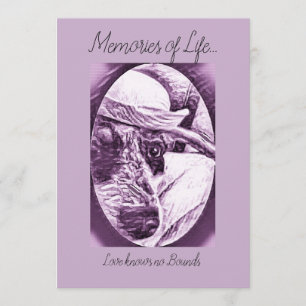 MERCI POUR LA CARTE DE SOIN - PERTE D'ANIMAL