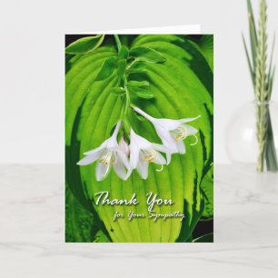 Merci pour la sympathie, les fleurs d'Hosta