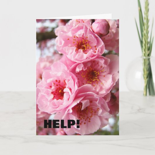 Merci pour l'AIDE ! Cartes de vœux Floraisons (Devant)