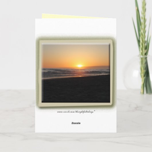 Merci pour le soleil (Dos)